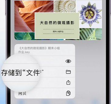 托喀依乡apple维修中心分享iPhone文件应用中存储和找到下载文件