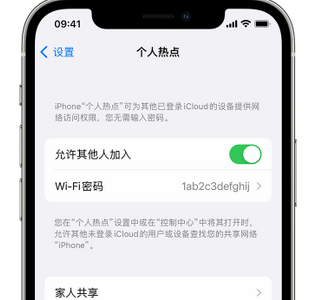 托喀依乡apple服务站点分享iPhone上个人热点丢失了怎么办 