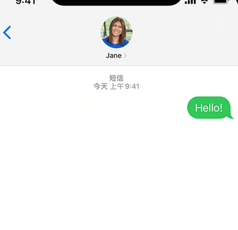 托喀依乡apple维修iPhone上无法正常发送iMessage信息