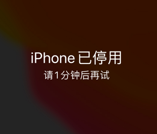 托喀依乡苹果手机维修分享:iPhone 显示“不可用”或“已停用”怎么办？还能保留数据吗？ 