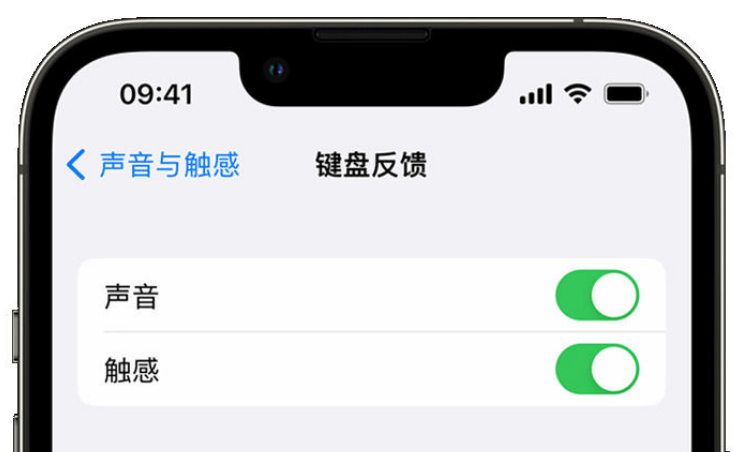 托喀依乡苹果手机维修分享iPhone 14触感键盘使用方法 