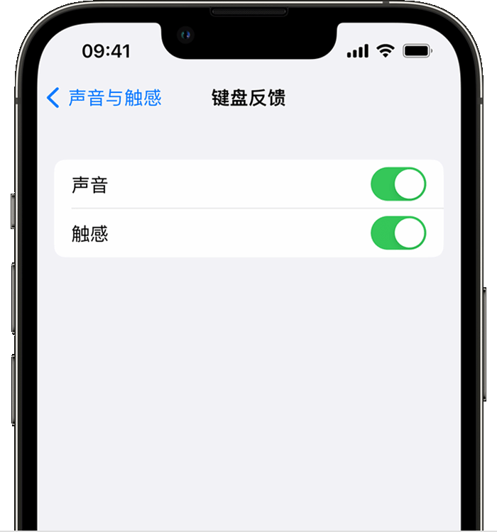 托喀依乡苹果14维修店分享如何在 iPhone 14 机型中使用触感键盘 