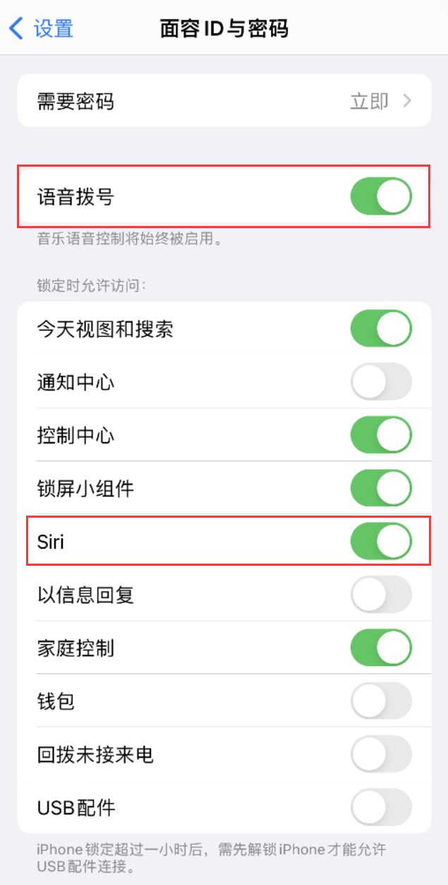 托喀依乡苹果维修网点分享不解锁 iPhone 的情况下通过 Siri 拨打电话的方法 