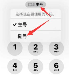 托喀依乡苹果14维修店分享iPhone 14 Pro Max使用副卡打电话的方法 