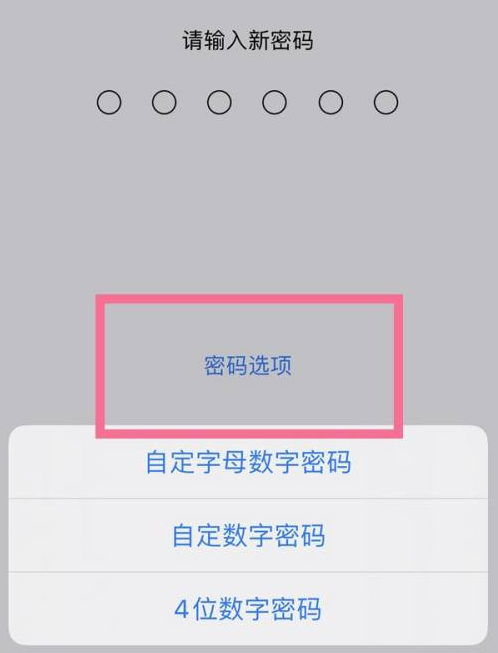 托喀依乡苹果14维修分享iPhone 14plus设置密码的方法 