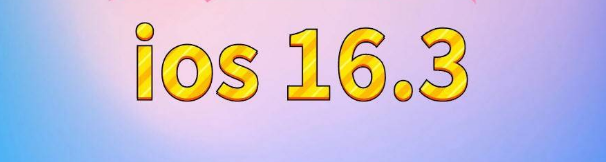 托喀依乡苹果服务网点分享苹果iOS16.3升级反馈汇总 