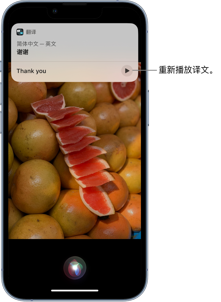 托喀依乡苹果14维修分享 iPhone 14 机型中使用 Siri：了解 Siri 能帮你做什么 