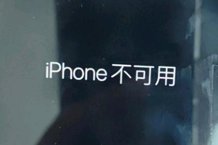 托喀依乡苹果服务网点分享锁屏界面显示“iPhone 不可用”如何解决 