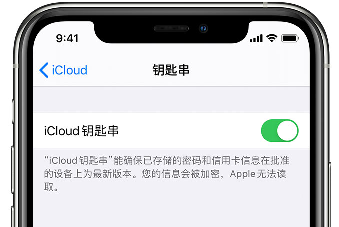 托喀依乡苹果手机维修分享在 iPhone 上开启 iCloud 钥匙串之后会储存哪些信息 