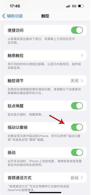 托喀依乡苹果手机维修分享iPhone手机如何设置摇一摇删除文字 